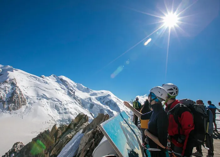 Grand Roc - Ancolies 218 - Happy 公寓 霞慕尼