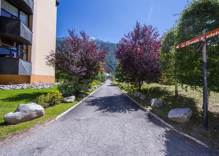 Grand Roc - Ancolies 218 - Happy Apartman Chamonix