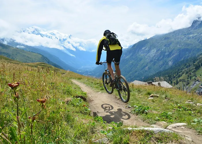 Grand Roc - Ancolies 218 - Happy